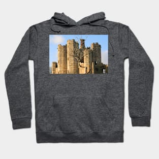 Place House, Titchfield, Hampshire, December 2019 Hoodie